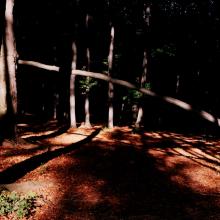 Lesom za objavovaním krás Manínskych skál.
