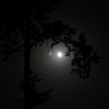 Mesiac nám svieti na cestu