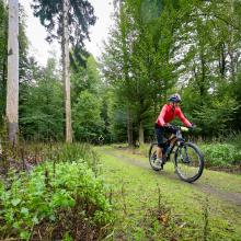 Bratislavký Kaktus bike MTB maratón 2023 (25km/531m)
