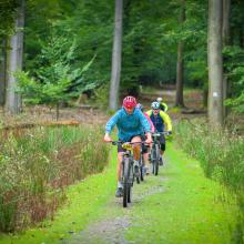Bratislavký Kaktus bike MTB maratón 2023 (25km/531m)