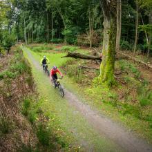 Bratislavký Kaktus bike MTB maratón 2023 (25km/531m)